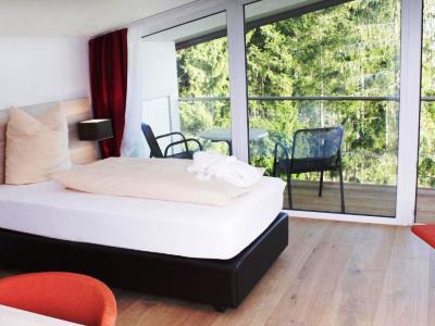 Hotel Schwarzwald Rothaus 4*